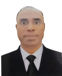 MR. MEHEDI HASAN